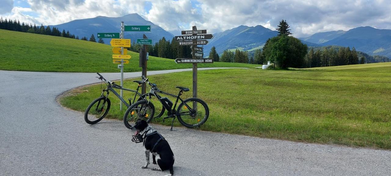 Camping Bella Austria Sankt Peter am Kammersberg Exterior foto